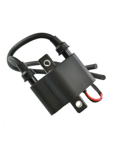 Bobine HT Arctic Cat ZR 4000 6000 Sno Pro 500 T500 M6 600 F5 F6 Firecat CrossFire 500 600 OEM 3007-451