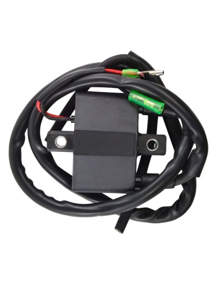 Bobine HT Motoneige Arctic Cat OEM 3005-170 3005-381 3006-534 3005-409 3006-692