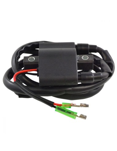 Ignition Coil Arctic Cat OEM 3005-170 3005-381 3006-534 3005-409 3006-692