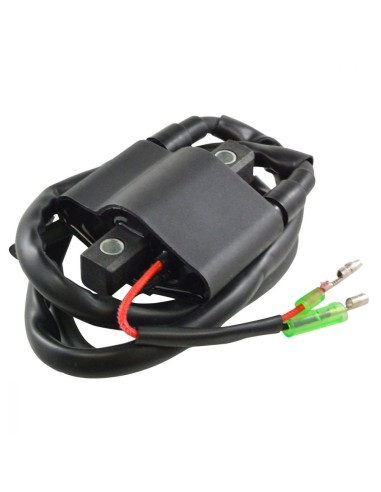 Ignition Coil Arctic Cat OEM 3005-170 3005-381 3006-534 3005-409 3006-692