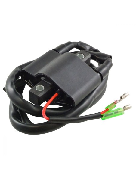 Bobine HT Motoneige Arctic Cat OEM 3005-170 3005-381 3006-534 3005-409 3006-692