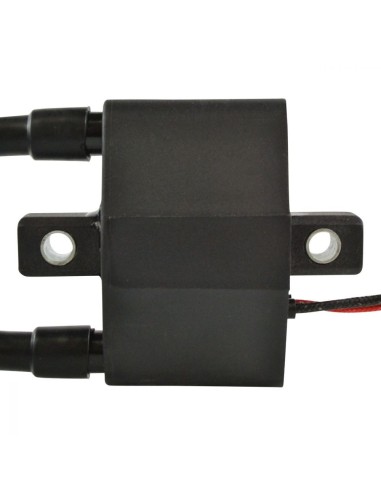 Bobine HT Motoneige Arctic Cat OEM 3005-170 3005-381 3006-534 3005-409 3006-692