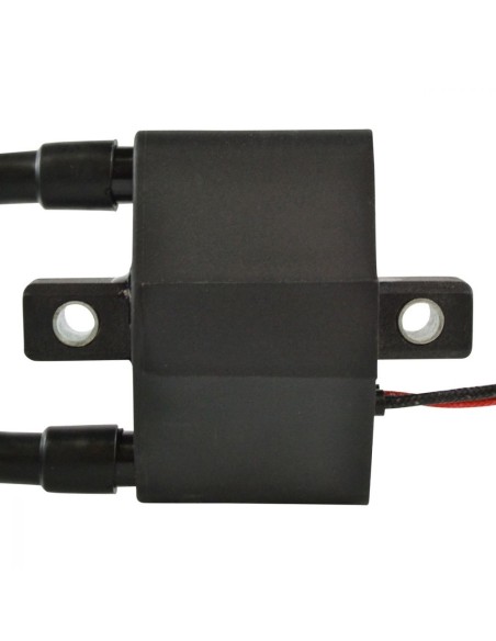 Bobine HT Motoneige Arctic Cat OEM 3005-170 3005-381 3006-534 3005-409 3006-692