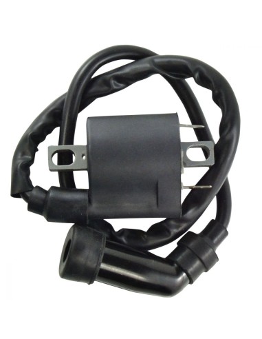 External Ignition Coil Yamaha 550 Grizzly 700 Grizzly OEM 1D7-82310-00-00 1D7-82310-01-00 5YU-82310-10-00