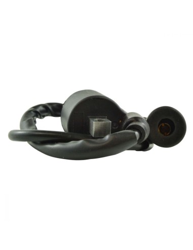 External Ignition Coil Yamaha 550 Grizzly 700 Grizzly OEM 1D7-82310-00-00 1D7-82310-01-00 5YU-82310-10-00