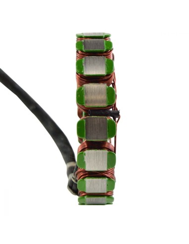 Stator Allumage Kawasaki ZX9 OEM 21003-1164 21003-1320 21003-1330 21003-1353 21003-1385 21003-1397