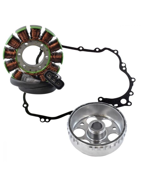 Kit Stator Rotor Joint Carter Ski Doo Grand Touring Expedition Renegade GSX GTX MX Z 1200 TNT OEM 420892362 420892378 420892373