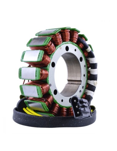 Stator Allumage BMW F700GS F650GS F800GS F800R F800S F800ST OEM 12317690427 12318524422 
