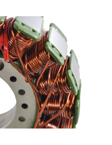 Stator Yamaha Trailway 200 TW200 OEM 4WP-85510-10-00