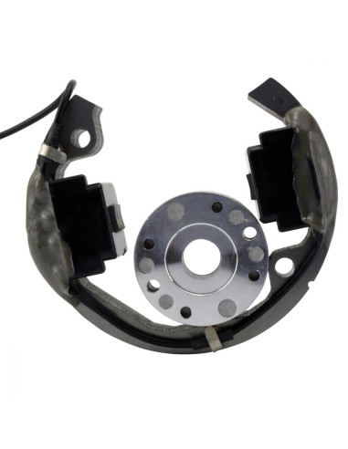 Kit Rotor Stator Bobine KTM SX50 Junior Pro Husqvarna TC50 CR50 SM50