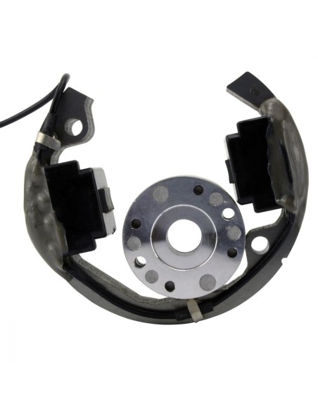Kit Rotor Stator HT Coil KTM SX50 Junior Pro Husqvarna TC50 CR50 SM50