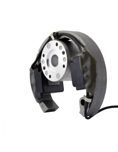 Kit Rotor Stator HT Coil KTM SX50 Junior Pro Husqvarna TC50 CR50 SM50