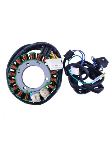 Stator Kawasaki KL 650 Tengai KLR650 OEM 21003-1170