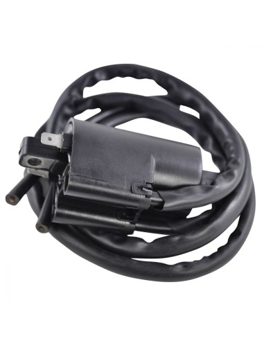External Ignition Coil Yamaha Road Star 1700 OEM 5VN-82310-20-00