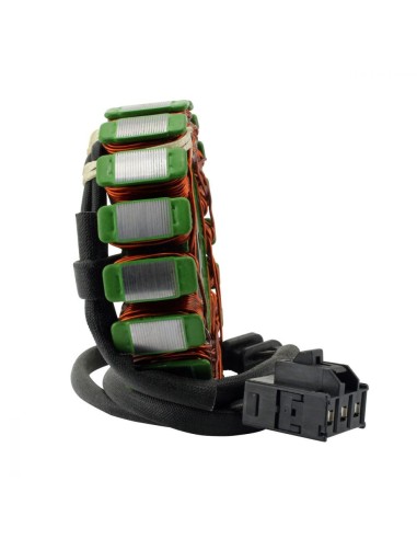 Alternateur Stator Allumage Kawasaki Z800 Z750R Z750 Z1000 OEM 21003-0133 21003-0046