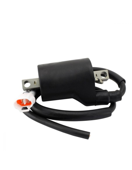 Bobine HT Polaris 650 Indy Matryx Switchback 850 XC PROSS Khaos Adventure RMK Assault OEM 4017566