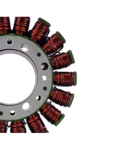Stator SeaDoo 300 RXP X 300 GTX 230 WAKE RXT GTX GTR 155 WAKE 155 GTX 130 155 GTI OEM 420889728