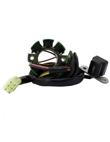 Stator Suzuki RM250 OEM 32101-37F30