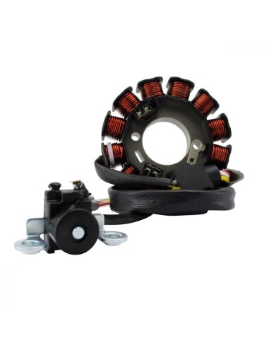 Stator Yamaha WR250F OEM 5UM-81410-10-00 5UM-81410-20-00 5UM-81410-30-00 5UM-81410-31-00