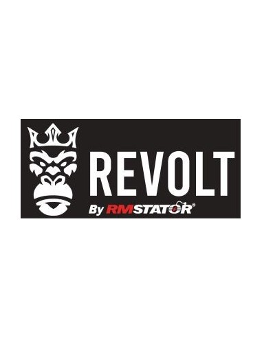 REVOLT Regulator Ducati 999 Street Fighter 848 1099 Superbike 749 848 999 1098 1198 MStrada 1000 OEM 540.4.019.1A 540.4.027.1A