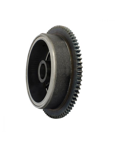 Volant Moteur Rotor Polaris Sportsman 700 Sportsman 600 OEM 4010899 Montage Kokusan