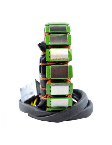 Stator Allumage Honda VFR800 Interceptor OEM 31100-MCW-315 31100-MCW-325 31110-MCW-D01 31120-MCW-D01