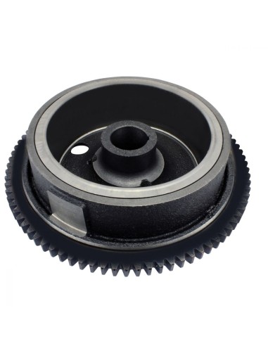 Volant Magnétique Polaris Ranger 500 Xplorer 500 Sportsman 335 400 500 Magnum 425 OEM 3084969 3086857 3086858