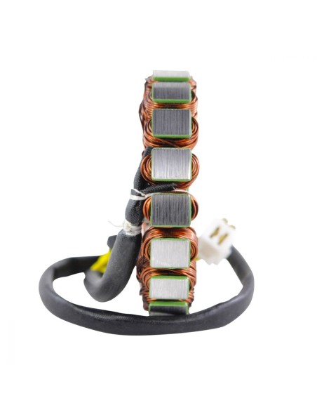 Stator Kawasaki ER6N Ninja 650R Versys 650 OEM 21003-0041 21003-0042