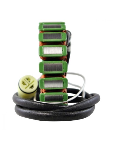 Stator Kawasaki ZX12R OEM 21003-0011 21003-1391