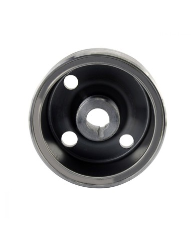 Rotor Suzuki RMZ250 Kawasaki KX250F OEM K2100-70017 K2100-70070 K2100-70048 21007-0017 21007-0070 21007-0048