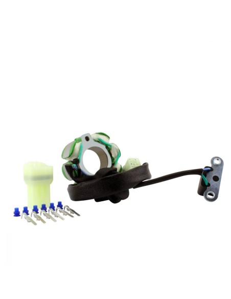 Stator Suzuki RMZ450 OEM 32101-35G00