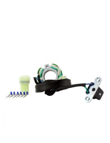 Alternateur Stator Allumage Suzuki RMZ450 OEM 32101-35G00