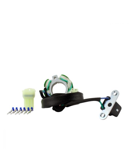 Stator Suzuki RMZ450 OEM 32101-35G00