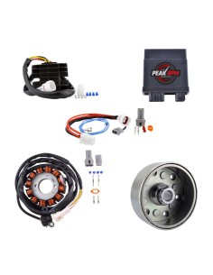Kit Stator Rotor CDI Régulateur Yamaha YFZ450X YFZ450R OEM 18P-81410-00-00 18P-81450-00-00 18P-81450-01-00
