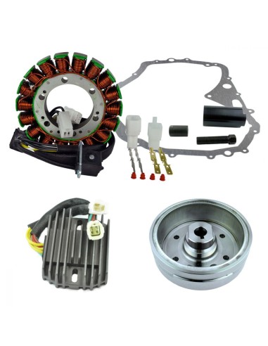 Kit Stator Magneto Flywheel Stator Cover Gasket Regulator Arctic Cat 400 Manuel OEM 0802-037 3430-053 3430-054 3430-071