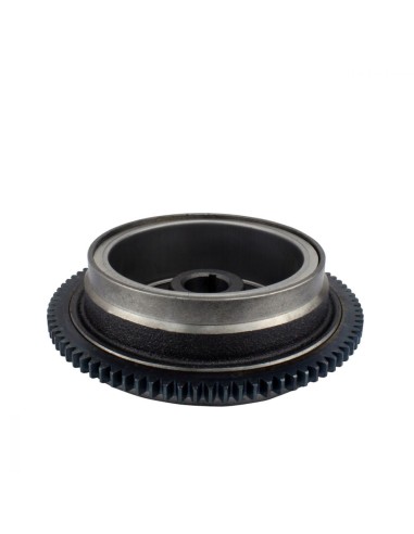 Rotor Volant Moteur Polaris Polaris Xplorer 250 400 Sportsman 400 Trail Blazer 250 Big Boss 250 Trail Boss 250 OEM 3083939
