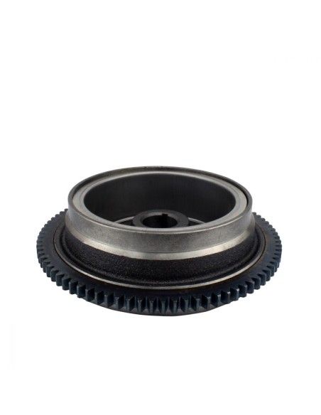 Rotor Volant Moteur Polaris Polaris Xplorer 250 400 Sportsman 400 Trail Blazer 250 Big Boss 250 Trail Boss 250 OEM 3083939
