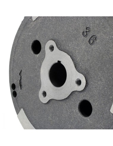 Rotor Volant Moteur Polaris Polaris Xplorer 250 400 Sportsman 400 Trail Blazer 250 Big Boss 250 Trail Boss 250 OEM 3083939