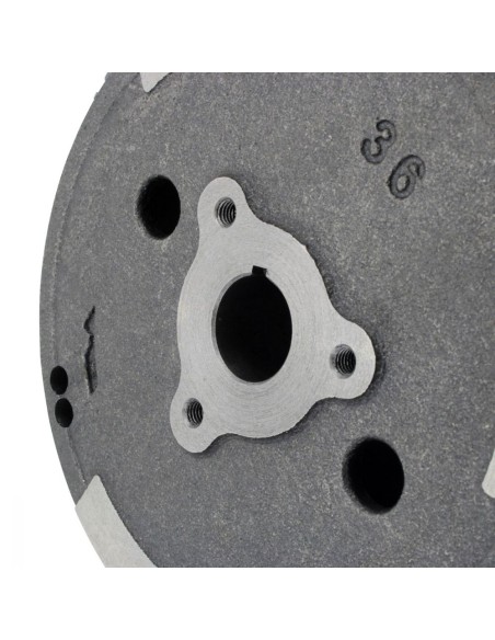 Rotor Volant Moteur Polaris Polaris Xplorer 250 400 Sportsman 400 Trail Blazer 250 Big Boss 250 Trail Boss 250 OEM 3083939