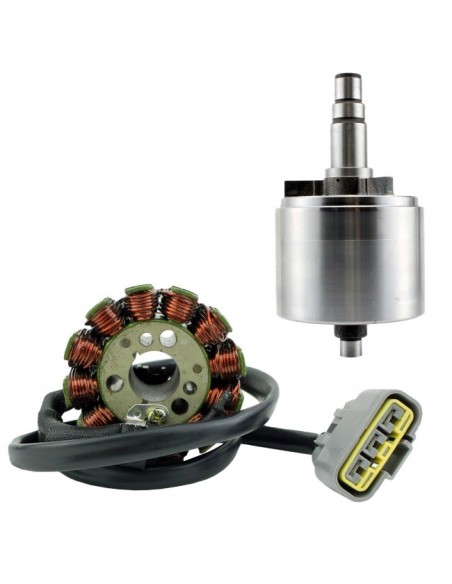Kit Stator Rotor Régulateur Revolt Yamaha FZS1 FZ8 FZ1 YZF R1 OEM 5VY-81450-00-00 2D1-81410-00-00 2D1-81410-01-00