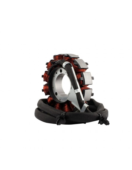 Stator Allumage CanAm Maverick 1000RR Turbo Maverick Max 1000RR Turbo OEM 420686363