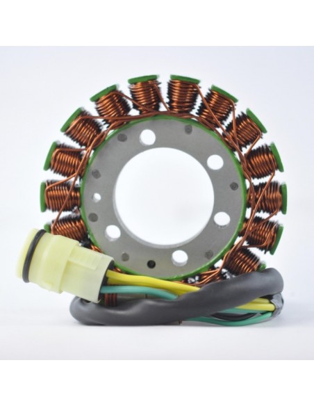 Kit Stator Capteur 300 Ohms SkiDoo Grand Touring 600 700 800 Legend OEM 410922907 410922940