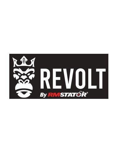REVOLT Voltage Regulator Stator Flywheel Gasket Yamaha FZS1 FZ8 FZ1 YZF R1 OEM 5VY-81450-00-00 2D1-81410-00-00 2D1-81410-01-00