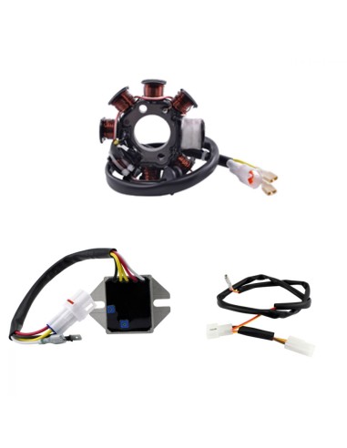 Système Conversion AC DC 100W Stator Régulateur KTM 530 450 XCR 530 450 EXC 2008-2011 OEM 80039004000