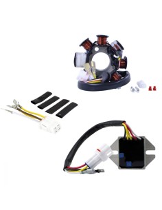 Kit Conversion ACDC 100W Stator Régulateur 2007 KTM 250 300 400 XC 400 450 520 525 530 EXC Beta 250RR 300RR 350RR 430RR 500RS