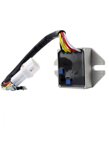 Kit Conversion ACDC 100W Stator Régulateur KTM 250 300 400 XC 400 450 520 525 530 EXC Beta 250RR 300RR 350RR 430RR 500RS