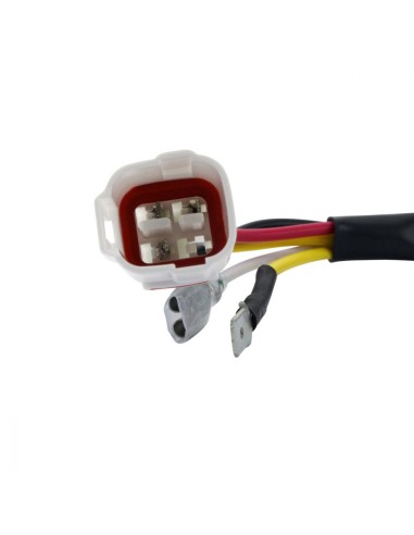 Kit Conversion ACDC 100W Stator Régulateur KTM 250 300 400 XC 400 450 520 525 530 EXC Beta 250RR 300RR 350RR 430RR 500RS