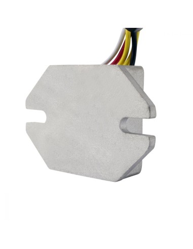 Kit Conversion ACDC 100W Stator Régulateur KTM 250 300 400 XC 400 450 520 525 530 EXC Beta 250RR 300RR 350RR 430RR 500RS