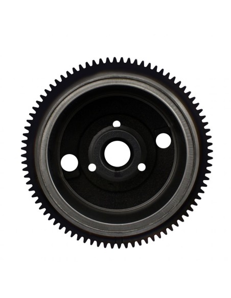 Rotor Volant Moteur Polaris Ranger 800 RZR 800 Sportsman 800 EFI Forest OEM 4013968