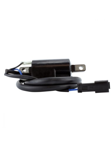 Bobine Allumage Externe SkiDoo Formula Summit 500 670 500 1998-2000 Lynx Enduro 500 1999-2001 OEM 415085400